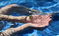 中国无缘U17女足世界杯八强